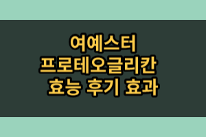 여예스더 프로테오글리칸 효능 후기 효과 (내돈내산 솔직후기)