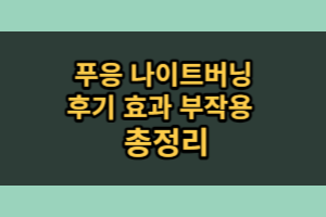 푸응 나이트버닝 효과 후기 (내돈내산)