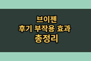 브이젠 내돈내산 후기 효과 부작용 (3개월 섭취)