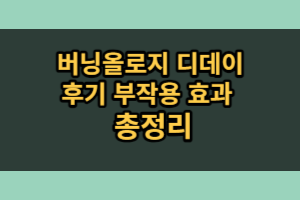 버닝올로지 디데이 효과 부작용 (내돈내산 후기)