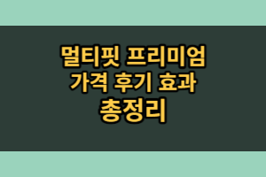 멀티핏 프리미엄 가격 효과 후기 (내돈내산 솔직후기)
