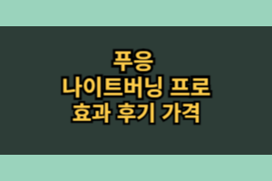 푸응 나이트버닝 프로 (내돈내산 솔직 후기)