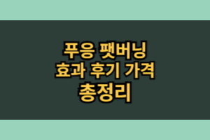 푸응 팻버닝 효과 부작용(내돈내산 솔직후기)