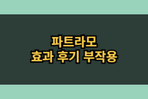 파트라모 부작용 내돈내산 후기