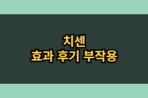 치센 효과 가격 부작용 내돈내산 후기