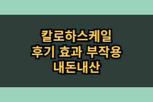 칼로하스케일 효능 부작용 내돈내산 후기