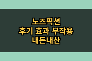 노즈픽션 부작용 효능 내돈내산 후기