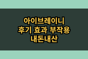 아이브레이니 효능 효과 내돈내산 후기