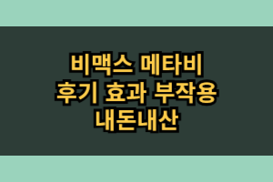 비맥스 메타비 효능 가격 내돈내산 후기
