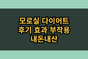 모로실 다이어트 핏 효과 부작용 내돈내산 솔직 후기