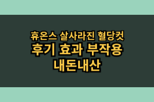 휴온스 살사라진 혈당컷 다이어트 후기 효과 부작용