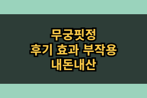 무궁핏정 내돈내산 후기 효과 부작용