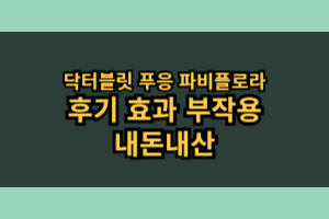 닥터블릿 푸응 파비플로라 후기 효과 부작용 내돈내산