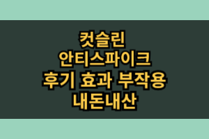 컷슬린 안티스파이크 포 다이어트 보조제 효과 부작용 내돈내산 후기