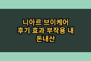 니아르 브이케어 효과 부작용 내돈내산 후기