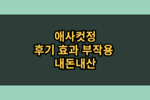 애사컷정 효능 부작용 내돈내산 후기